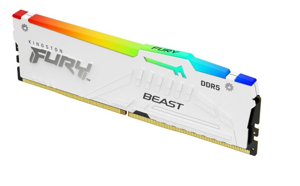 Kingston Pamięć DDR5 Fury Beast RGB 32GB(1*32GB)/5600 CL36 biała