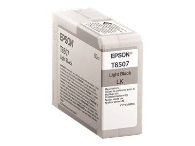 Epson Singlepack Photo Light Black cartridge, T850700