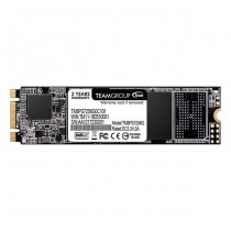Team Group SSD MS30 - 256 GB - M.2 2280 - SATA 6 GB/s 