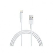 Apple Lightning cable - 1 m Dieses USB 2.0 Kabel verbindet das iPhone oder den iPod über den Lightning Connector mit dem USB Ans