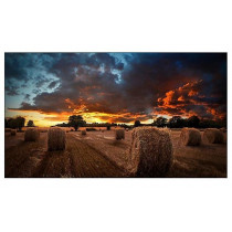 Samsung Monitor profesjonalny VM55B-U 55 cali Video Wall Matowy 24h/7 500(cd/m2) 1920 x 1080(FHD) N/A 3 lata On-Site (LH55VMBUBGBXEN)