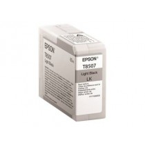 Epson Singlepack Photo Light Black cartridge, T850700