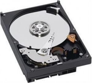 Western Digital Dysk HDD AV-GRN 500GB 3.5 SATA 3Gbs 64MB