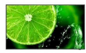 NEC Monitor wielkoformatowy 55 cali MultiSync E558 UHD 350cd/m2 16/7
