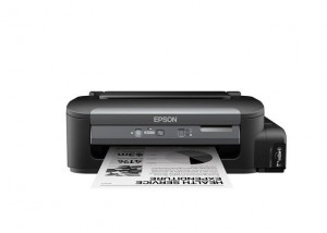 Epson C11CC84301