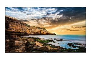 Samsung Monitor profesjonalny QE65T 65 cali Błyszczący 16h/7 300(cd/m2) 3840x2160 (UHD) Lite Player (only) 3 lata On-Site (LH65QETELGCXEN)