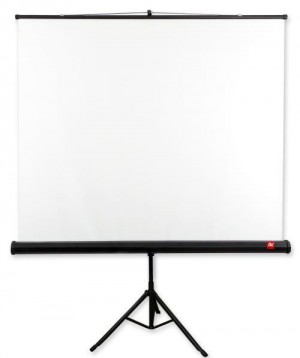 AVTek Ekran na statywie Tripod Standard 175 (1:1, 175x175cm, powierzchnia biała, matowa)