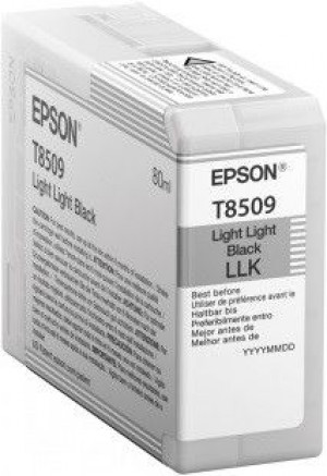Epson Singlepack Photo Light Light Black cartridge, T850900